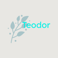 Teoodor Logo
