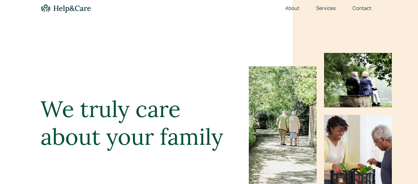 Elderly Care Website preview